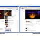Illustration for article titled Is Your YouTube Slathered In Counterfeit Ads?